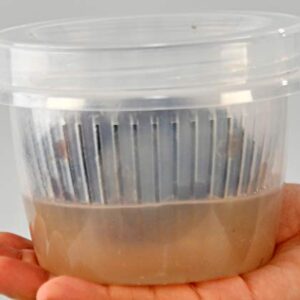 HOME-X Clear Plastic Storage Container with Removable Strainer and Lid, Small Food Storage Container, 1-Cup Capacity, 4 ½” L x 3 ½” W x 3 ¼” H, Opaque