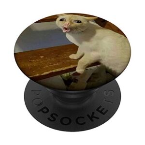 meme cat coughing animal funny picture design popsockets popgrip: swappable grip for phones & tablets
