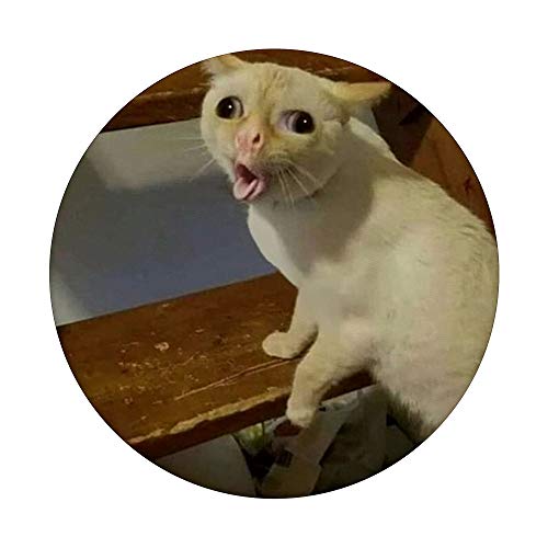 Meme Cat Coughing Animal Funny Picture Design PopSockets PopGrip: Swappable Grip for Phones & Tablets