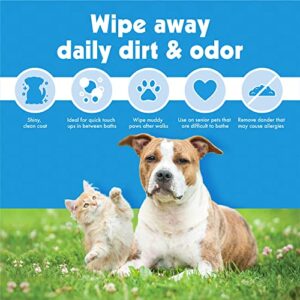 Petkin Pet Wipes for Dogs and Cats, 200 Wipes - Large Pet Wipes for Dogs and Cats - Cleans Ears, Face, Butt, Body and Eye Area - Convenient, Ideal for Home or Travel - 2 Packs of 100 Wipes