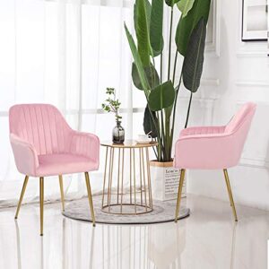 thksbought set of 2 velvet dinning chairs, upholstered accent chairs with gold plating legs for living room chairs(pink)