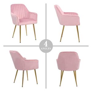 thksbought Set of 2 Velvet Dinning Chairs, Upholstered Accent Chairs with Gold Plating Legs for Living Room Chairs(Pink)