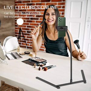 Adjustable Gooseneck Cellphone Holder,Overhead Phone Mount,Table Top Teaching Online Stand for Live Streaming and Online Video and Food Crafting Demo Drawing Sketching Recording