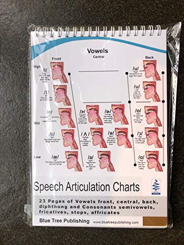 Speech Articulation Anatomy Flip Charts