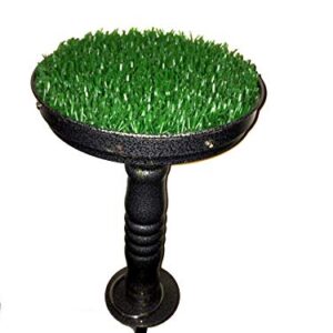 Falconry Block Stainless Steel 8 inches Perch with Astroturf, Fully Portable