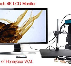 HAYEAR 4K HDMI Microscope Camera Kit for Industry Lab PCB USB Output TF Card Video Recorder +180X C-Mount Lens + Big Stereo Stand +144 LED Light