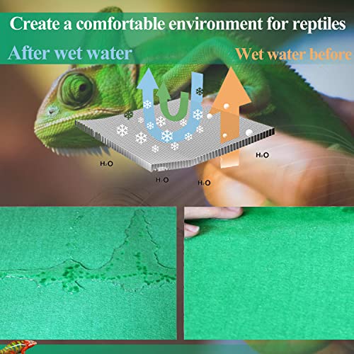 HERCOCCI 2 Pack Reptile Carpet, 39’’ x 20’’ Terrarium Bedding Substrate Liner Reptile Cage Mat Tank Accessories for Bearded Dragon Lizard Tortoise Leopard Gecko Snake (Green)