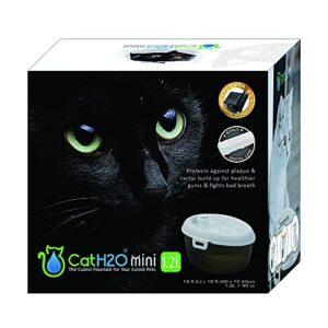 cat h2o mini pet fountain, 40 ounce capacity, with filter and dental care tablet, white top with translucent black bottom