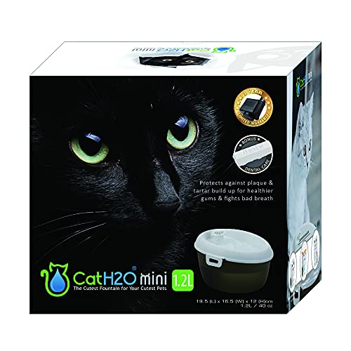 Cat H2O Mini Pet Fountain, 40 Ounce Capacity, with Filter and Dental Care Tablet, White top with Translucent Black Bottom