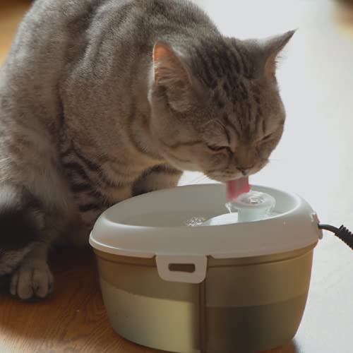 Cat H2O Mini Pet Fountain, 40 Ounce Capacity, with Filter and Dental Care Tablet, White top with Translucent Black Bottom