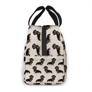 Doxie Dachshund Weiner Dog Lunch Bag For Women Insulated Lunch Box Reusable Cooler Tote Bag For Work Picnic Travel