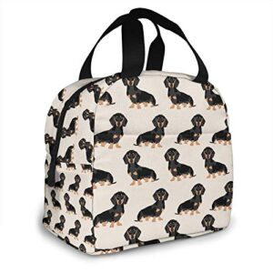 Doxie Dachshund Weiner Dog Lunch Bag For Women Insulated Lunch Box Reusable Cooler Tote Bag For Work Picnic Travel