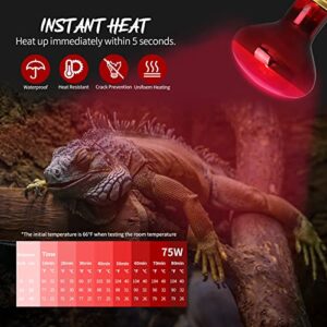 FIVEAGE 75W Red Heating Light Infrared Bulb UVA Spot Heat Lamp for Reptile and Amphibian Use - Lizard Tortoise Spider Snake Chameleon 2 Pack