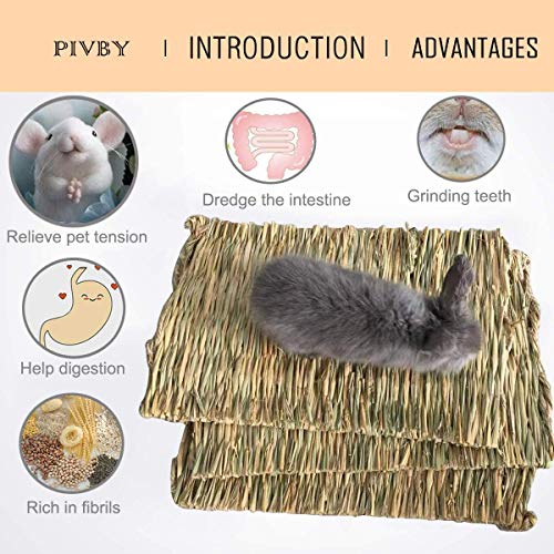 PINVNBY Rabbit Mat for Cages Woven Bunny Grass Bed Nest Chew Toy Bed for Hamsters Parrot Hedgehog Guinea Pig Bunny and Other Small Animals (12 Pack)