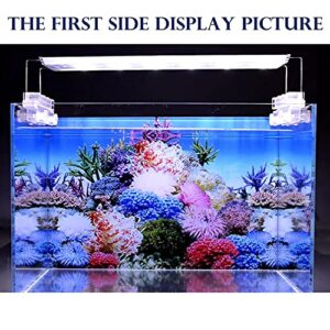 ELEBOX New 20" x 48" Fish Tank Background Stickers Wallpaper 2 Sided Seaweed Water Plants Aquarium Background Decoration