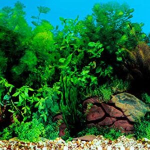 ELEBOX New 20" x 48" Fish Tank Background Stickers Wallpaper 2 Sided Seaweed Water Plants Aquarium Background Decoration