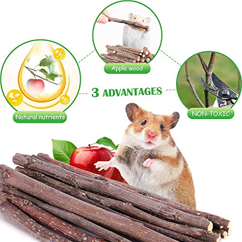 Elipark 12 Pack Wooden Hamster Toys Set,Guinea Pig Toys Natural Apple Wood Rabbit Rat Bunny Chinchillas Dwarf Hamsters Chew Toys Treats,Exercise Accessories for Small Animal Pet Chewing and Teeth Care