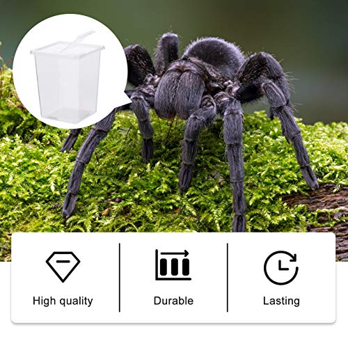Balacoo 2pcs Plastic Reptile Box Snake Turtle Breeding Box Case Feeding Hatching Container Pet Spider Scorpion Lizard Tank House for Home