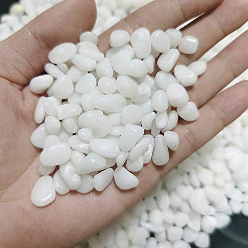 SACKORANGE 2 Pounds Natural Decorative Polished White Pebbles, 3/8" Gravel Size, Small Decorative River Rock Stones for Fresh Water Fish Animal Plant Aquariums, Landscaping, Home Decor etc.