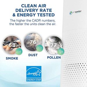 Germ Guardian True HEPA Filter Air Purifier with FLT4200 Genuine True HEPA Air Purifier Replacement Filter L for GermGuardian AC4200W