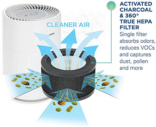 Germ Guardian True HEPA Filter Air Purifier with FLT4200 Genuine True HEPA Air Purifier Replacement Filter L for GermGuardian AC4200W