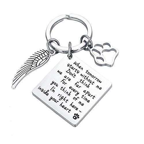 ShiQiao Spl Pet Bereavement Memorial Remembrance Gift - When Tomorrow Starts Without Me Paw Prints Keychain Dog Cat Loss Gifts for Pet Owner Sympathy Gifts