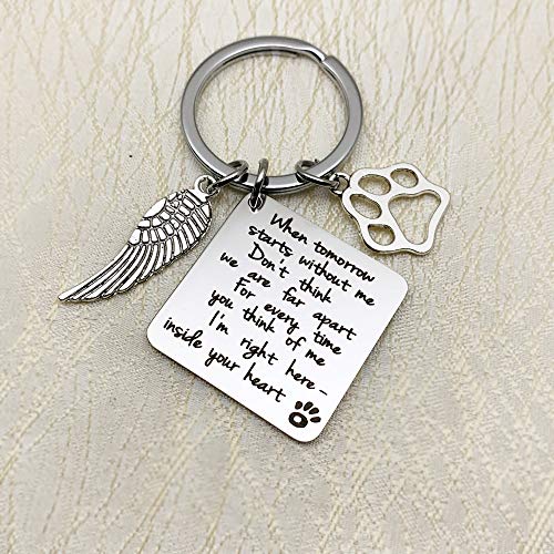 ShiQiao Spl Pet Bereavement Memorial Remembrance Gift - When Tomorrow Starts Without Me Paw Prints Keychain Dog Cat Loss Gifts for Pet Owner Sympathy Gifts