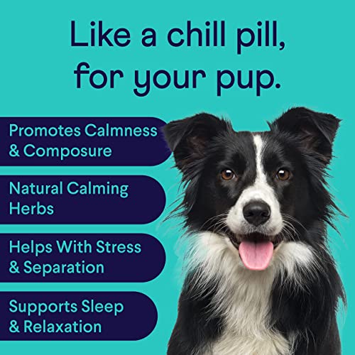 Finn Calming Aid for Dogs - Natural Calming Chews with Melatonin to Help Stress, Separation & Sleep - Vet Recommended & NASC Certified - 90 Chews
