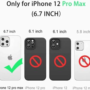 LOVE BEIDI Design for iPhone 12 Pro Max Waterproof case 6.7'', Full Body Shockproof case for iPhone 12 Pro Max Case with Screen Protector, Dust Proof Phone Case Cover for iPhone 12 Pro Max (Black)