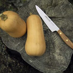 ARCOS Kitchen Knife 6 Inch Stainless Steel. Professional Kitchen Knife for Cooking. Ovengkol Wood Handle 100% natural FSC and 160 mm Blade. Series Nordika