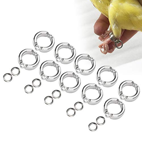 GLOGLOW Bird Foot Rings, 10Pcs Metal Bird Parrots Leg Ring Outdoor Fly Training Activity Opening Clip Accessories for Small Medium Large Birds Training