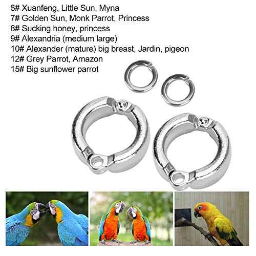 GLOGLOW Bird Foot Rings, 10Pcs Metal Bird Parrots Leg Ring Outdoor Fly Training Activity Opening Clip Accessories for Small Medium Large Birds Training