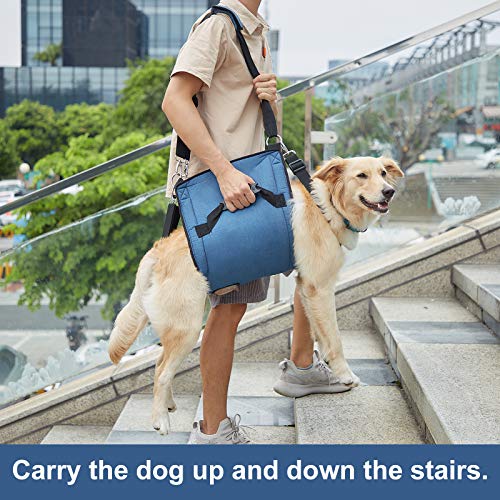 Dog Carry Sling, Emergency Backpack Pet Legs Support & Rehabilitation Dog Lift Harness for Nail Trimming, Dog Carrier for Senior Dogs Joint Injuries, Arthritis, Up and Down Stairs (XL, Blue)