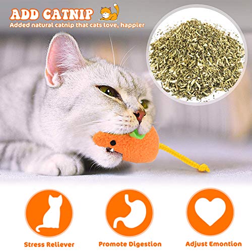 Catnip Toy - 6Pcs Cats Mouse Plush Cat Toys Realistic Cute Kitten Mice Filled Catnip for Cat Chew Toy1