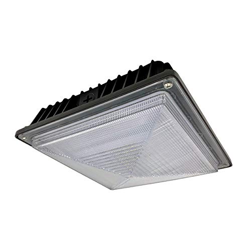 HTG Supply Howard LED Canopy Light | Indoor / Outdoor Gas Station Parking Lot Warehouse Workshop | 39W 5000K Natural Daylight White 3100 Lumens | Die-Cast Aluminum Waterproof Housing | 120v-277v