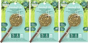 oxbow animal health 3 pack of enriched life timothy apple lollipop small animal chew treat