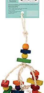 Oxbow Animal Health 3 Pack of Enriched Life Deluxe Color Dangly Small Pet Chew Toys