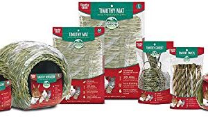 Oxbow Animal Health 2 Pack of Timothy Hay Mats, Large, for Small Pets