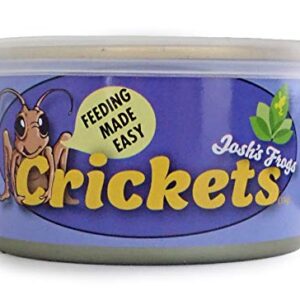 Josh's Frogs Canned Crickets (35g)