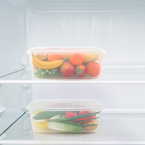 Hespama 14 Quart Plastic Storage Bin, Clear Latching Boxes with Grey Lid, 2 Packs, F