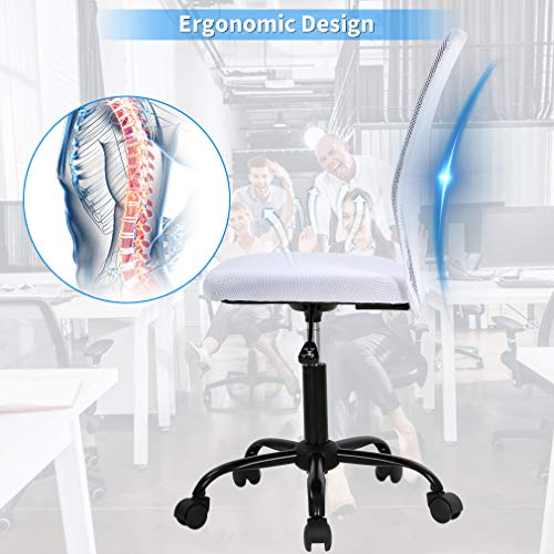 Office Chair Desk Chair Computer Chair with Lumbar Support Ergonomic Mid Back Mesh Adjustable Height Swivel Chair Armless Modern Task Executive Chair for Women Men Adult,White