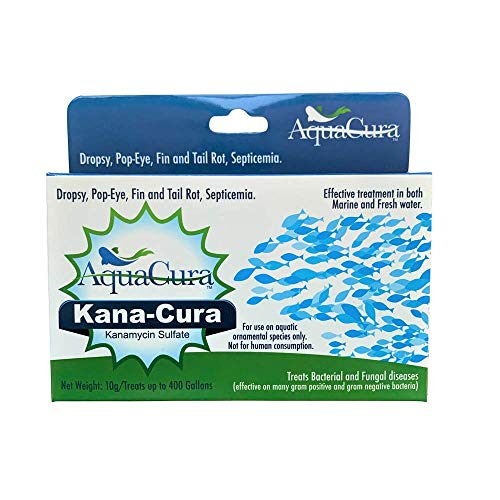 Kana-Cura