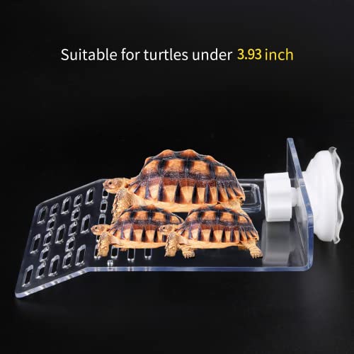 Turtle Basking Platform, Turtle Tank Platform Aquarium Animal Transparent Sink Wharf, Reptile Habitat, Climbing Shelf Turtle Tank Dock Floating Decor with Sucker Cap Medium