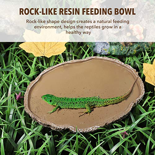 POPETPOP Reptisoil Reptiles Reptile Feeding Bowl Resin Thicken Water Dish Bowl Breeding Tray Feeding Plate for Lizard Snake Gecko Turtle Iguana Tortoise Reptisoil Auto Feeder