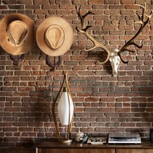 Cowboy Hat Rack - Set of 2 Decorative Wall-Mounted Holder - Heavy-Duty Iron Hanger and Organizer DIY Kit for Hats, Coats and Keys - Rustic Western Horseshoe Hooks for Storage and Display