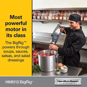 Hamilton Beach Commercial BigRig™ Immersion Blender - HMI012