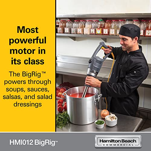 Hamilton Beach Commercial BigRig™ Immersion Blender - HMI012