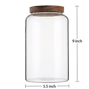 Bekith 100 FL OZ (3000ml) Large Glass Food Storage Jar with Airtight Wooden Lid, Glass Storage Canisters Container, BPA-Free Cereal Dispenser Jars for Spaghetti Pasta, Tea, Coffee, Spice, Powder