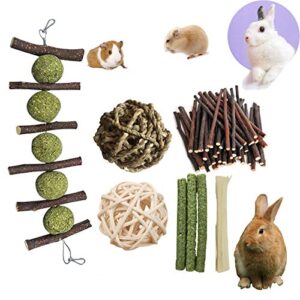 pd bunny chew toys for teeth, double head suspension, natural apple wood sticks with timothy grass balls, improve dental health for rabbits chinchilla hamsters guinea pigs gerbils squirrels (5 pcs)