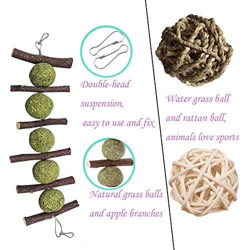 PD Bunny Chew Toys for Teeth, Double Head Suspension, Natural Apple Wood Sticks with Timothy Grass Balls, Improve Dental Health for Rabbits Chinchilla Hamsters Guinea Pigs Gerbils Squirrels (5 pcs)